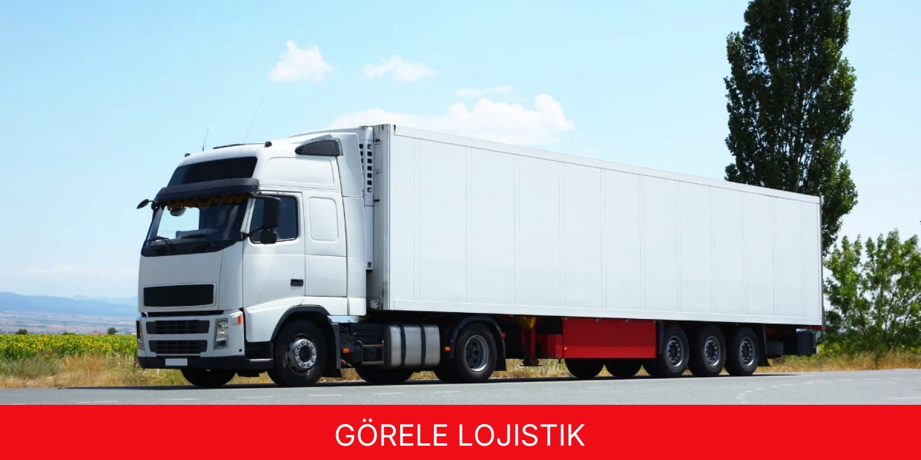 Görele Lojistik