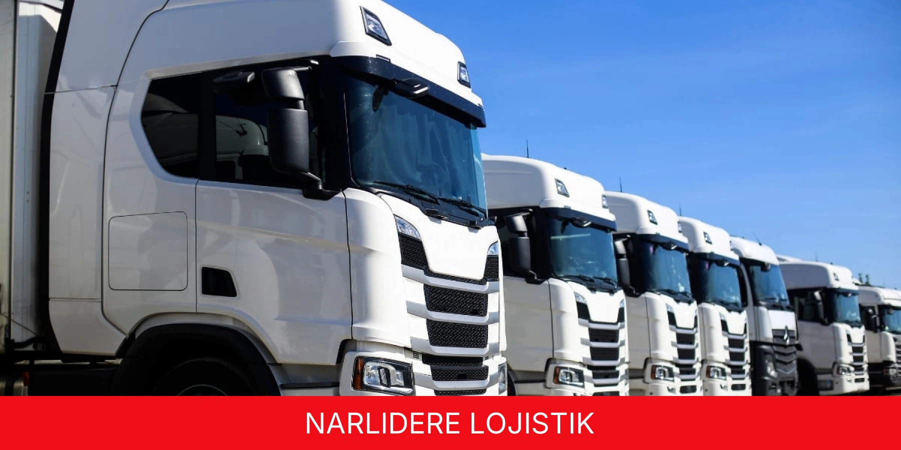 Narlıdere Lojistik