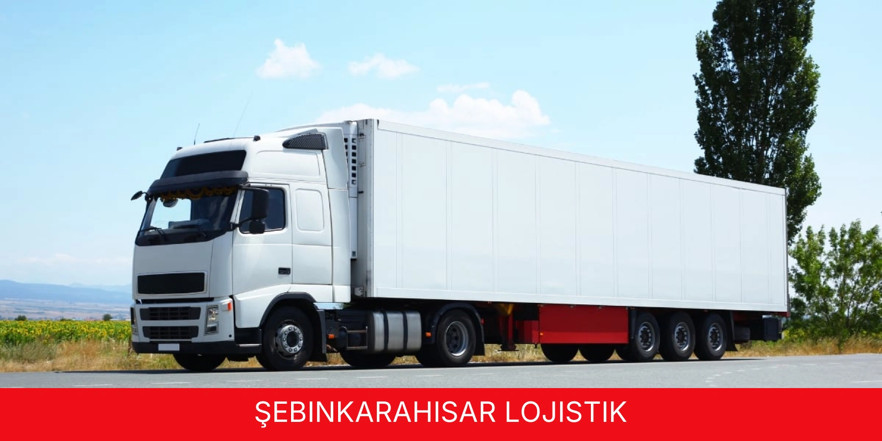 Şebinkarahisar Lojistik