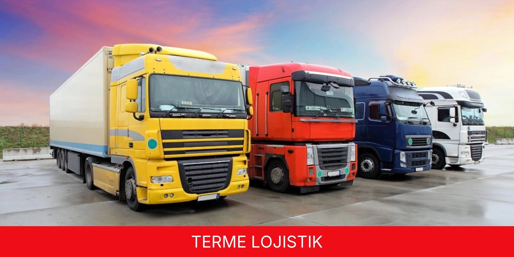 Terme Lojistik