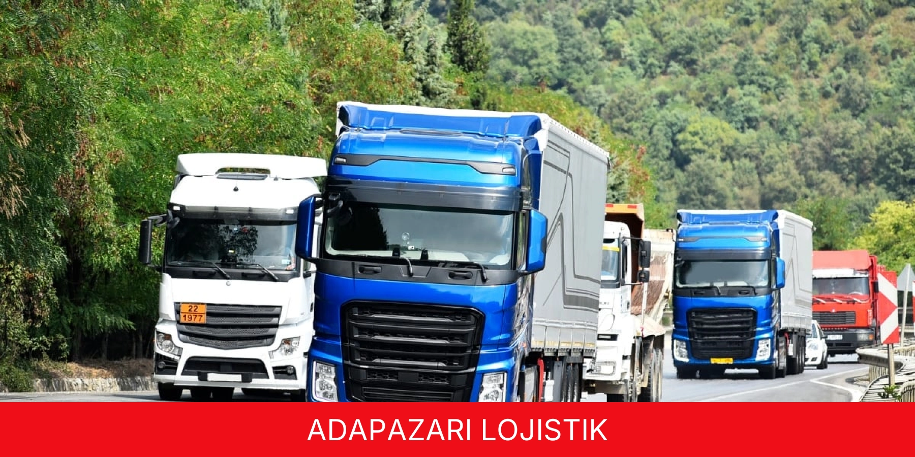Adapazarı Lojistik
